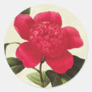Suche nach redoute aufkleber Blume