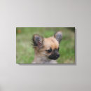 Suche nach sprache leinwandbilder Welpe