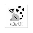 Suche nach lemur Madagaskar