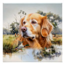 Suche nach goldene retriever poster Retriefe