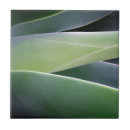 Suche nach agave fliesen Natur