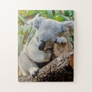 Suche nach niedlicher koala puzzle Tiere