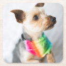 Suche nach yorkshire terrier untersetzer Liebe