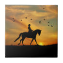 Suche nach reiten fliesen Dressur