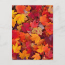Suche nach haufen poster Blatt