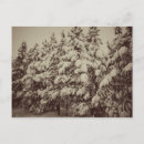 Suche nach schneelandschaft postkarten Vintage