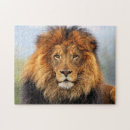 Suche nach afrikanischer löwe puzzle Löwen