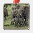 Suche nach afrika ornamente afrikanischer elefant
