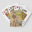 Suche nach lustige tiere spiele spielkarten Familie