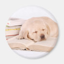 Suche nach labrador welpe magnete Bezaubernd