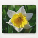 Suche nach narzisse mousepads Frühling