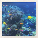 Suche nach gelber fisch Unter dem meer