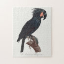 Suche nach parrot puzzle Vogel