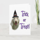 Suche nach tricke karten Hund