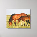 Suche nach pony leinwandbilder Bauernhof