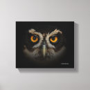 Suche nach raubvögel leinwandbilder Raptor