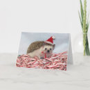 Suche nach hedgies karten Weihnachten