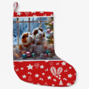 Suche nach meerschweinchen geschenke Cavies