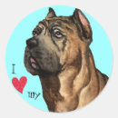 Suche nach cane corso aufkleber Italienischer mastiff
