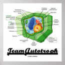 Suche nach biology poster Biologe