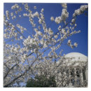 Suche nach kirschblüten fliesen Baum