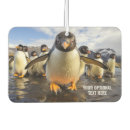 Suche nach pinguine autozubehör Tiere