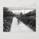 Suche nach solo Foto