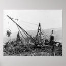 Suche nach forstwirtschaft poster Baum