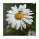 Suche nach natur foto fliesen Blumenreich