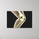 Suche nach knies poster Illustration