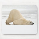 Suche nach eisbär mousepads Spaß