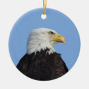 Suche nach adler ornamente Natur