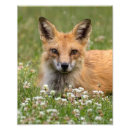 Suche nach klee kunst Natur