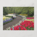 Suche nach tulpen postkarten Europa
