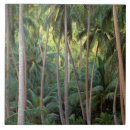 Suche nach französisch polynesien untersetzer Baum