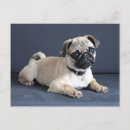 Suche nach couch postkarten Sofa