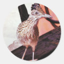 Suche nach kuckuck aufkleber Vogelvogel