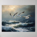 Suche nach möwe poster Vögel