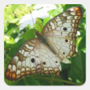 Suche nach jasmin aufkleber Natur