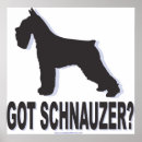 Suche nach schnauze poster Spaß