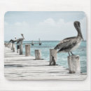 Suche nach pelikan mousepads Strand