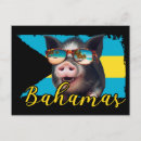 Suche nach bahamas postkarten Schweine