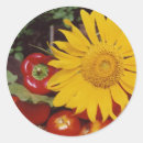 Suche nach gemüse aufkleber Blätter