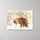 Suche nach wilder tiger leinwandbilder Tier