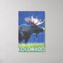 Suche nach elch poster leinwandbilder Colorado