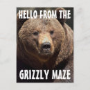 Suche nach grizzly postkarten Braunbär
