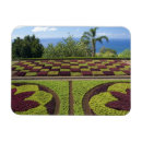 Suche nach madeira magnete Europa