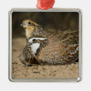 Suche nach tarnung ornamente Jagd
