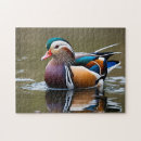Suche nach schnabel puzzle Vögel