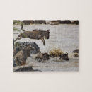 Suche nach masai puzzle Herde